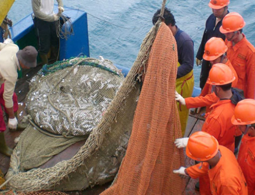 Membangun Laut, Membangun Sumber Daya Manusia