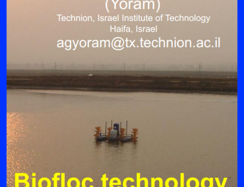 Biofloc Technology