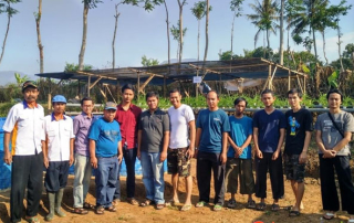 budidaya-cacing-sutra