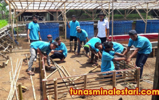 slider-pelatihan-lele